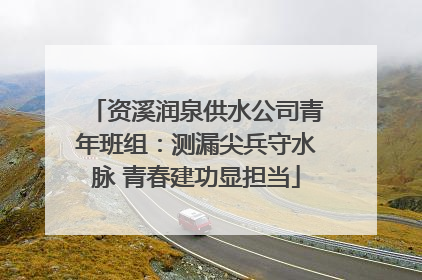 资溪润泉供水公司青年班组：测漏尖兵守水脉 青春建功显担当