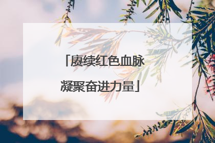 赓续红色血脉 凝聚奋进力量