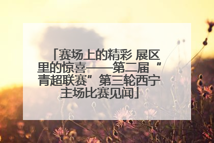 赛场上的精彩 展区里的惊喜——第二届“青超联赛”第三轮西宁主场比赛见闻