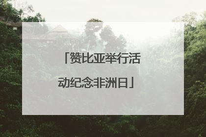 赞比亚举行活动纪念非洲日