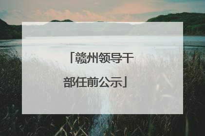 赣州领导干部任前公示