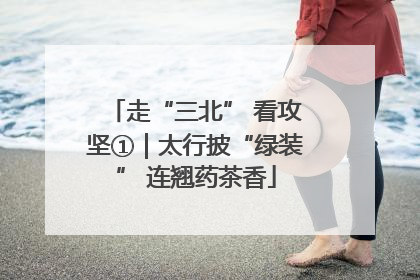 走“三北” 看攻坚①｜太行披“绿装” 连翘药茶香