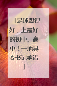 足球踢得好，上最好的初中、高中！一地县委书记承诺