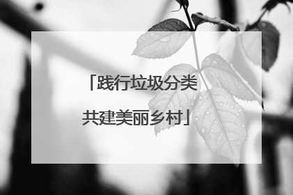 践行垃圾分类 共建美丽乡村