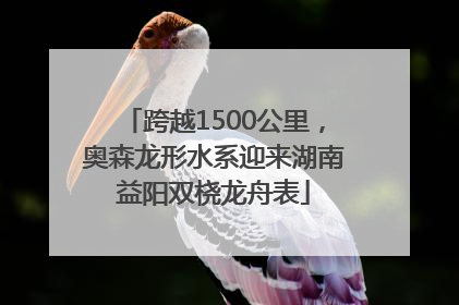 跨越1500公里，奥森龙形水系迎来湖南益阳双桡龙舟表