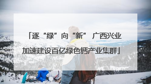 逐“绿”向“新” 广西兴业加速建设百亿绿色钙产业集群