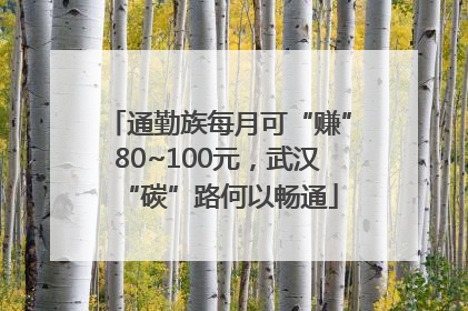 通勤族每月可“赚”80~100元，武汉“碳”路何以畅通