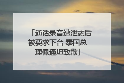 通话录音遭泄露后被要求下台 泰国总理佩通坦致歉