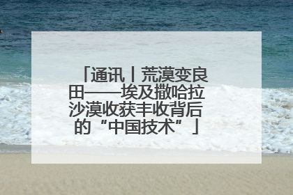 通讯丨荒漠变良田——埃及撒哈拉沙漠收获丰收背后的“中国技术”