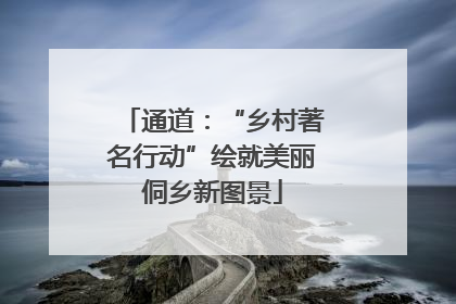 通道：“乡村著名行动”绘就美丽侗乡新图景