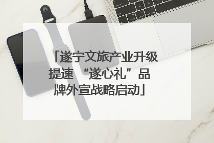遂宁文旅产业升级提速 “遂心礼”品牌外宣战略启动