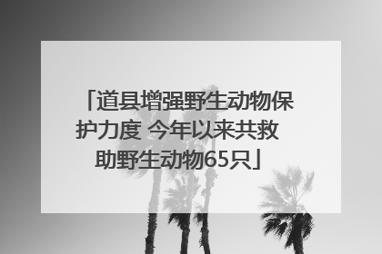 道县增强野生动物保护力度 今年以来共救助野生动物65只