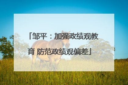 邹平：加强政绩观教育 防范政绩观偏差