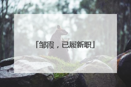 邹霞，已履新职