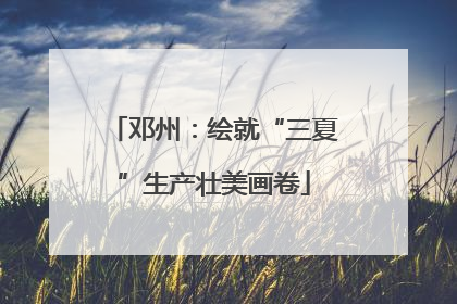 邓州：绘就“三夏”生产壮美画卷