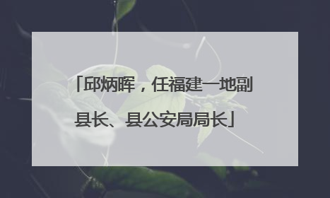 邱炳晖，任福建一地副县长、县公安局局长