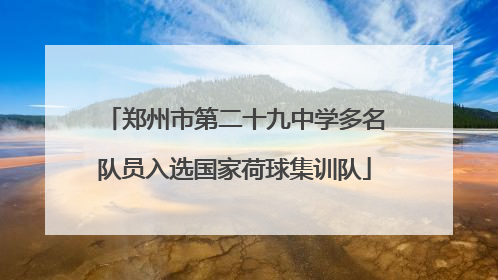 郑州市第二十九中学多名队员入选国家荷球集训队