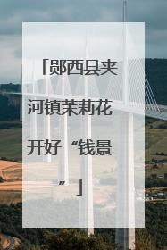 郧西县夹河镇茉莉花开好“钱景”