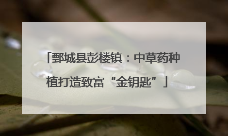 鄄城县彭楼镇：中草药种植打造致富“金钥匙”