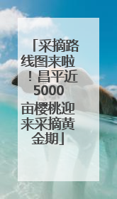采摘路线图来啦！昌平近5000亩樱桃迎来采摘黄金期