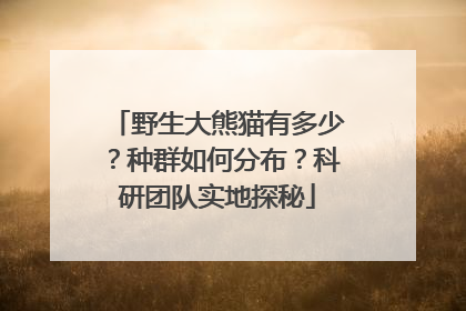 野生大熊猫有多少？种群如何分布？科研团队实地探秘