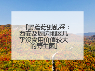 野蘑菇别乱采：西安及周边地区几乎没食用价值较大的野生菌