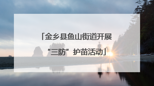 金乡县鱼山街道开展“三防”护苗活动