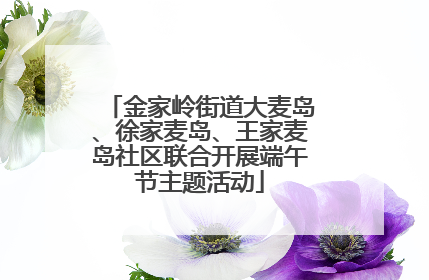 金家岭街道大麦岛、徐家麦岛、王家麦岛社区联合开展端午节主题活动