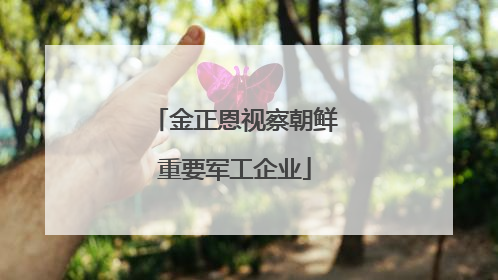 金正恩视察朝鲜重要军工企业