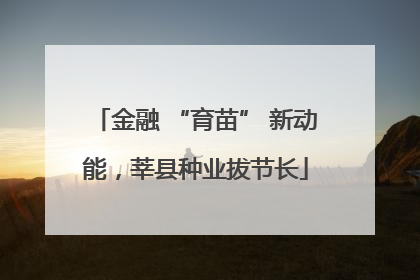 金融 “育苗” 新动能，莘县种业拔节长
