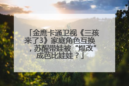 金鹰卡通卫视《三孩来了3》家庭角色互换，苏醒带娃被“爆改”成芭比娃娃？