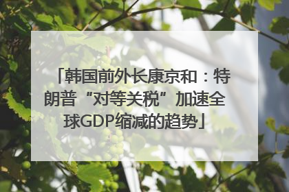韩国前外长康京和：特朗普“对等关税”加速全球GDP缩减的趋势