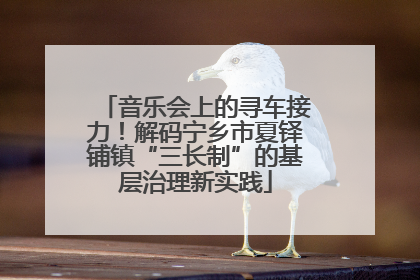音乐会上的寻车接力！解码宁乡市夏铎铺镇“三长制”的基层治理新实践