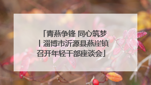 青燕争锋 同心筑梦丨淄博市沂源县燕崖镇召开年轻干部座谈会