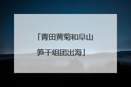 青田黄菊和阜山笋干组团出海