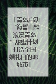 青岛启动“海誓山盟 浪漫青岛”甜蜜计划 打造全国婚礼目的地城市