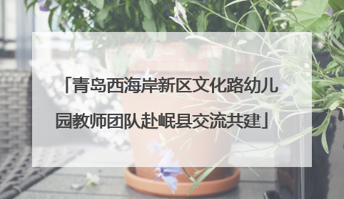 青岛西海岸新区文化路幼儿园教师团队赴岷县交流共建