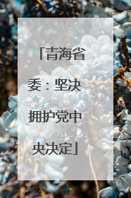 青海省委：坚决拥护党中央决定
