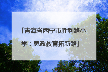 青海省西宁市胜利路小学：思政教育拓新路