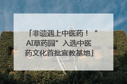 非遗遇上中医药！“AI草药园”入选中医药文化首批宣教基地