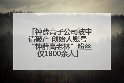 钟薛高子公司被申请破产 创始人账号“钟薛高老林”粉丝仅1800余人
