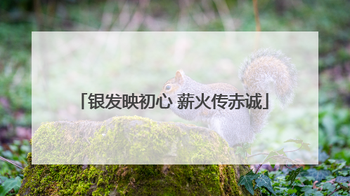 银发映初心 薪火传赤诚