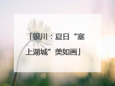 银川：夏日“塞上湖城”美如画
