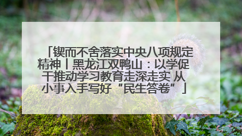 锲而不舍落实中央八项规定精神丨黑龙江双鸭山：以学促干推动学习教育走深走实 从小事入手写好“民生答卷”