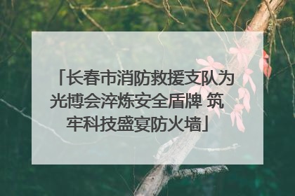 长春市消防救援支队为光博会淬炼安全盾牌 筑牢科技盛宴防火墙