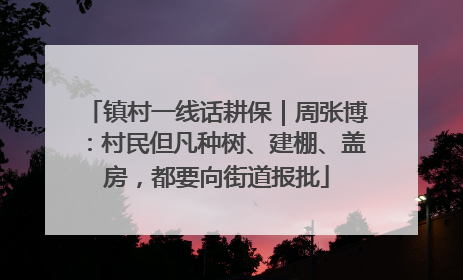 镇村一线话耕保｜周张博：村民但凡种树、建棚、盖房，都要向街道报批