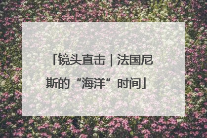 镜头直击｜法国尼斯的“海洋”时间