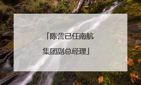 陈詟已任南航集团副总经理