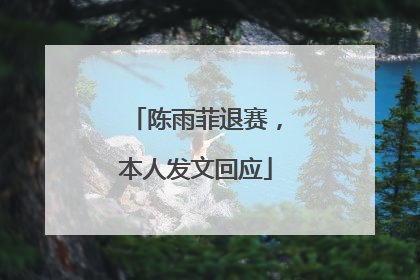 陈雨菲退赛，本人发文回应