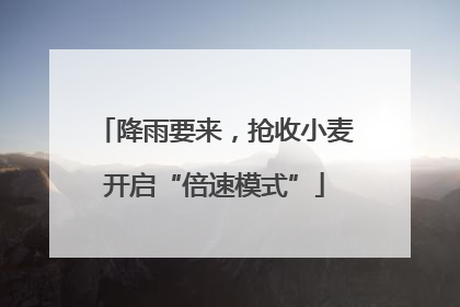 降雨要来，抢收小麦开启“倍速模式”